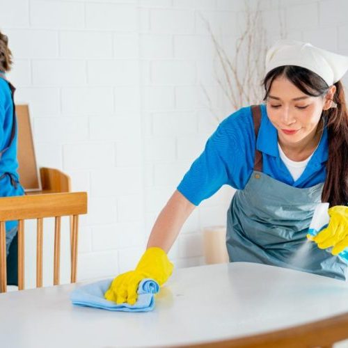 House-Cleaning-Pala-2-qk9pdobx8wd0cbzz7j251813i9u0y18wu9u5caqsnc